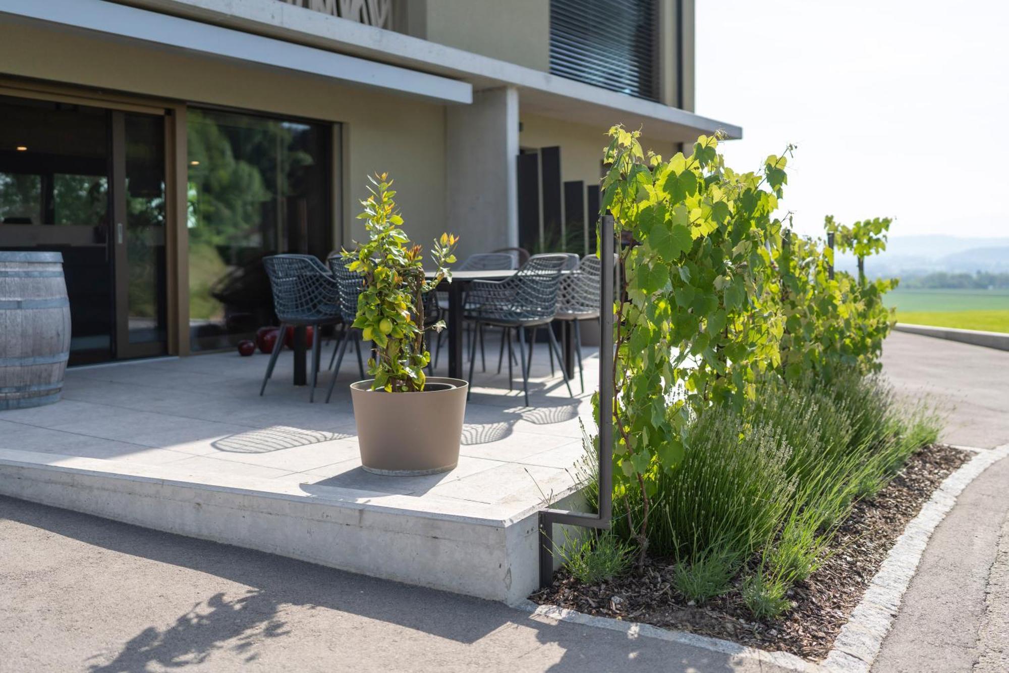 Hotel Le Rive Sud Estavayer-le-lac Exterior foto